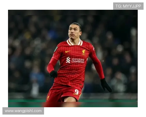 罗马诺:那不勒斯本周重启努涅斯谈判,5000 万欧交易进入关键阶段 罗马诺:那不勒斯本周重启努涅斯谈判,5000 万欧交易进入关键阶段